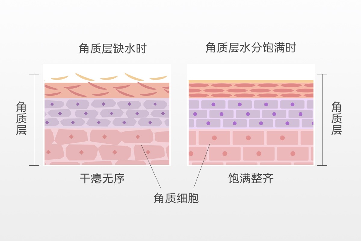 1709530310922168.jpg 1709530310922168.jpg